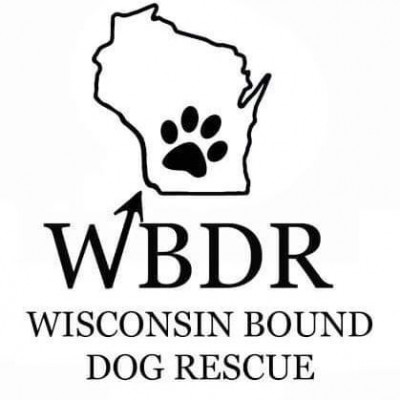 Wisconsin Bound Dog Rescue - Animal Shelter and Rescue in Sun Prairie, Wisconsin