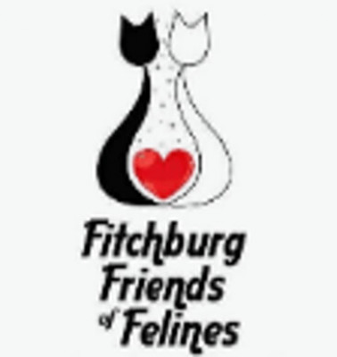Fitchburg Friends Of Felines, Inc. - Animal Shelter and Rescue in Fitchburg, Massachusetts