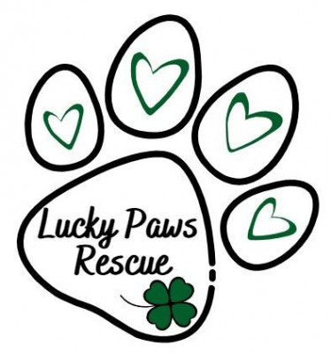 Lucky Paws Rescue Inc. - Animal Shelter and Rescue in Oswego, South Carolina