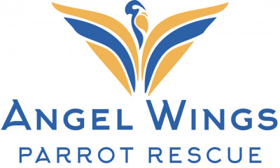Angel Wings Parrot Rescue - Animal Shelter and Rescue in Malabar, Florida