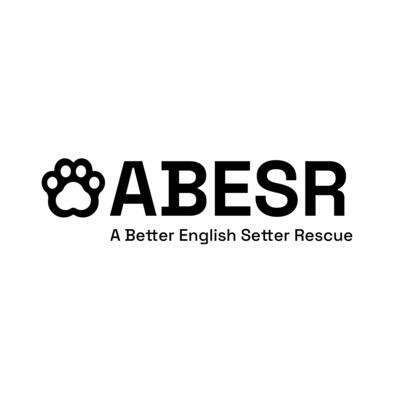 A Better English Setter Rescue - Pet Shelter and Rescue