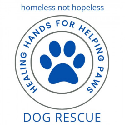Healing Hands For Helping Paws - Animal Shelter and Rescue in Vaughan, Ontario