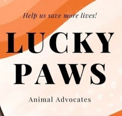 Lucky Paws Animal Advocates - Animal Shelter and Rescue in Covington, Washington
