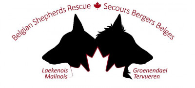 Belgian Shepherds Rescue Canada - Animal Shelter and Rescue in Saint-Basile, Québec