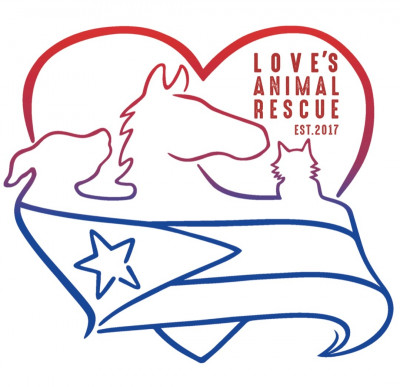 Loves Animal Rescue - Animal Shelter and Rescue in San Juan, Puerto Rico