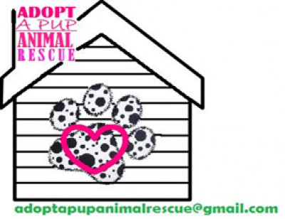 Adopt A Pup Animal Rescue - Pet Shelter and Rescue in DeWitt, Michigan