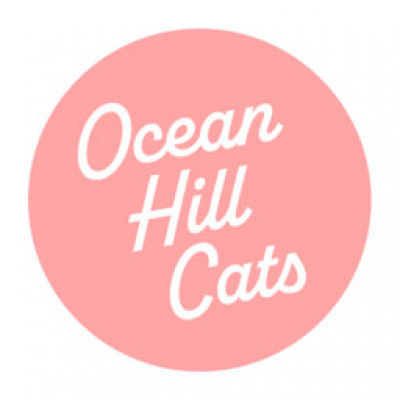 Ocean Hill Cats - Animal Shelter and Rescue
