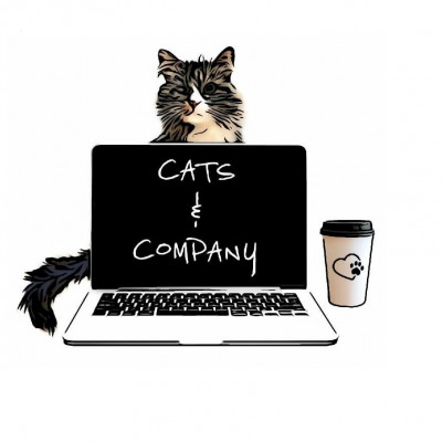 Cats & Company - Animal Shelter and Rescue in Chillicothe, Ohio