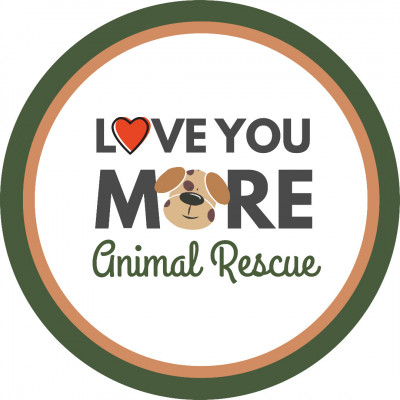 Love You More Animal Rescue - Animal Shelter and Rescue in West Chicago, Illinois