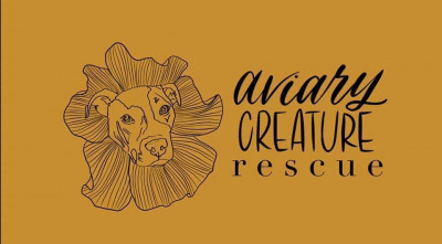 Aviary Creature Rescue - Animal Shelter and Rescue in Morgan City, Louisiana