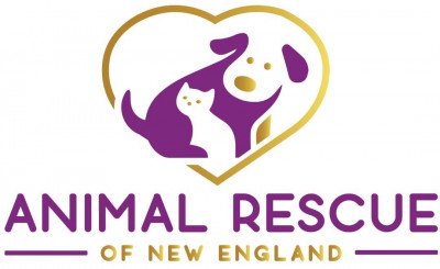 Animal Rescue Of New England - Animal Shelter and Rescue in Glocester, Rhode Island