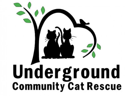 Underground Community Cat Rescue (UCCR) - Animal Shelter and Rescue in Selah, Washington