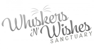 Whiskers N Wishes Sanctuary - Animal Shelter and Rescue in Marana, Arizona