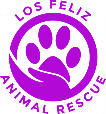 Los Feliz Animal Rescue - Animal Shelter and Rescue in Los Angeles, California