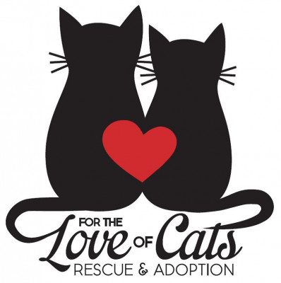 For The Love Of Cats Rescue And Adoption - Pet Shelter and Rescue in Walled Lake, Michigan
