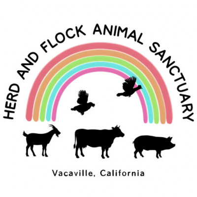 Herd And Flock Animal Sanctuary - Animal Shelter and Rescue in Vacaville, California