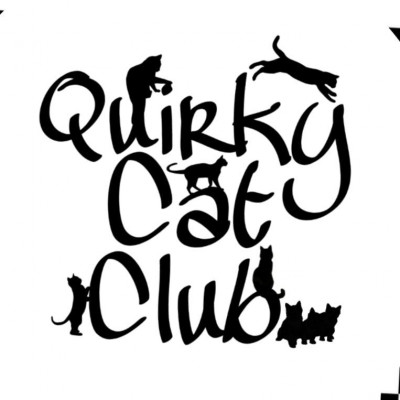 Quirky Cat Club - Animal Shelter and Rescue in Maple Shade, New Jersey