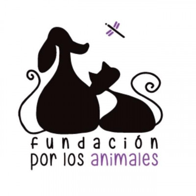 La Fundación Por Los Animales - Animal Shelter and Rescue in San Juan, San Juan