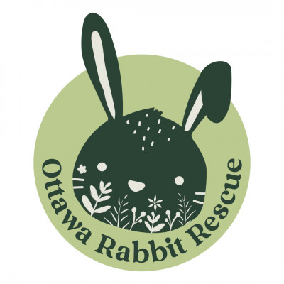 Ottawa Rabbit Rescue - Animal Shelter and Rescue in Kemptville, Ontario