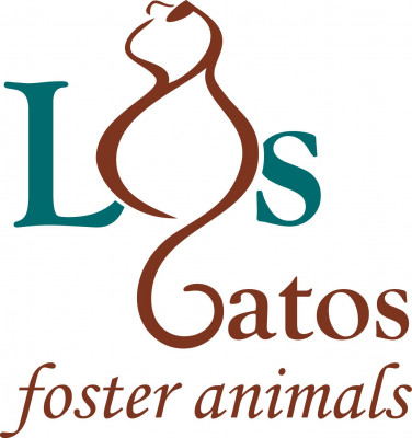 Los Gatos Foster Animals - Pet Shelter and Rescue in Davison, Michigan