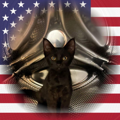 Furry Friends Foundation - Animal Shelter and Rescue in Los Angeles, California