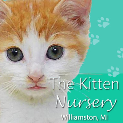 The Kitten Nursery - Pet Shelter and Rescue in Williamston, Michigan