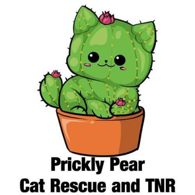 Prickly Pear Cat Rescue And TNR - Animal Shelter and Rescue in Tempe, Arizona