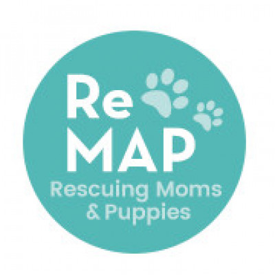 ReMAP-Rescuing Moms & Puppies - Animal Shelter and Rescue in Petaluma, California