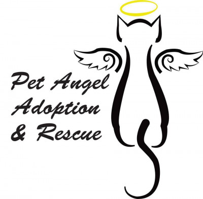 Pet Angel Adoption And Rescue Inc. - Pet Shelter and Rescue in Frankenmuth, Michigan