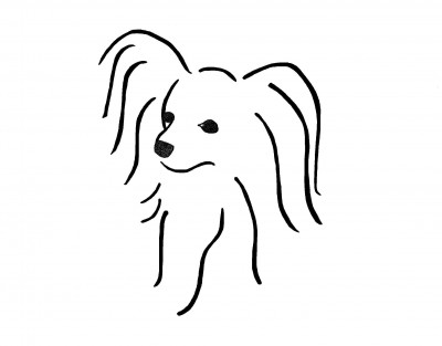 Papillon Pals Rescue, Inc. - Pet Shelter and Rescue in Jacksonville, Florida