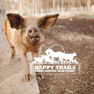 Happy Trails Farm Animal Sanctuary Inc. - Pet Shelter and Rescue in Ravenna, Ohio
