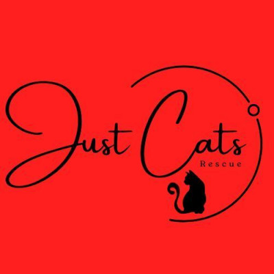 Just Cats Rescue - Animal Shelter and Rescue in Akron, Ohio