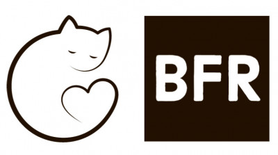 Bayberry Feline Rescue & TNR Project - Animal Shelter and Rescue in Chino Hills, California