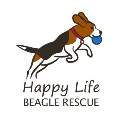 Happy Life Beagle Rescue Inc - Animal Shelter and Rescue in Stoughton, Massachusetts