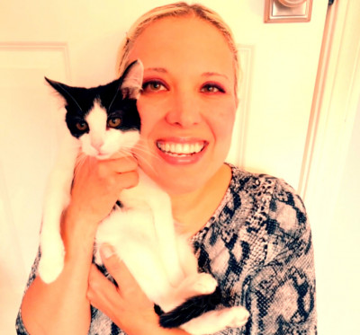 PJs Kitty Rescue - Animal Shelter and Rescue in Bedford Park, Illinois