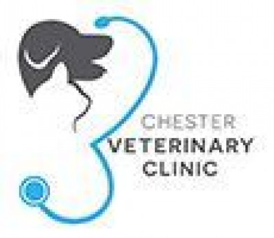 Chester Veterinary Clinic - Animal Shelter and Rescue in Chester, Connecticut