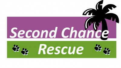 Second Chance Rescue - Pet Shelter and Rescue in Reddick, Florida