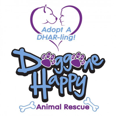 Doggone Happy Animal Rescue - Animal Shelter and Rescue in Harrington, Delaware