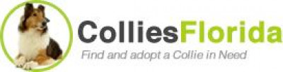 ColliesFlorida Rescue - Pet Shelter and Rescue in Gainesville, Florida
