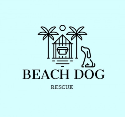 Beach Dog Rescue - Animal Shelter and Rescue in Torrance, California