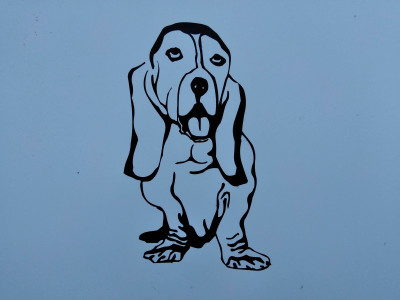 Gratiot County Animal Control - Animal Shelter and Rescue in Ithaca, Michigan