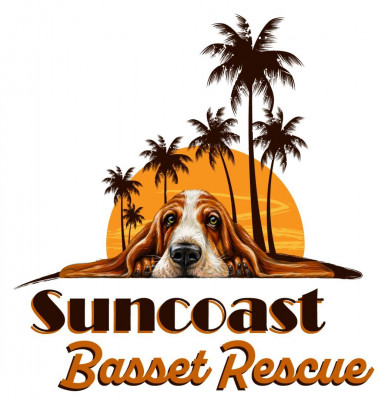Suncoast Basset Rescue Inc. - Pet Shelter and Rescue in Auburndale, Florida