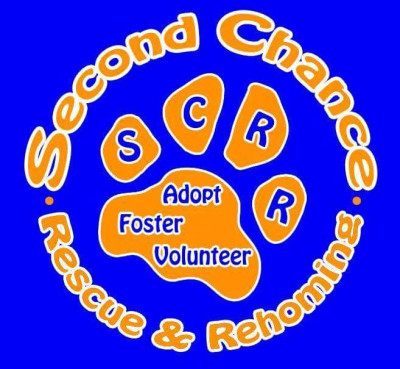 Second Chance Rescue & Rehoming, Inc - Pet Shelter and Rescue in Gainesville, Florida