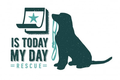 Is Today My Day Rescue - Animal Shelter and Rescue in Festus, Missouri