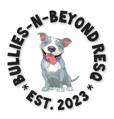 Bullies-N-Beyond ResQ - Animal Shelter and Rescue in Omaha, Nebraska