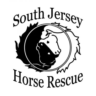 South Jersey Horse Rescue - Animal Shelter and Rescue in Egg Harbor City, New Jersey
