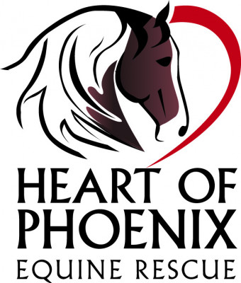 Heart Of Phoenix Equine Rescue, INC - Pet Shelter and Rescue in Huntington, West Virginia