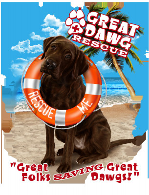 Great Dawg Rescue Inc. - Pet Shelter and Rescue in Ormond Beach, Florida