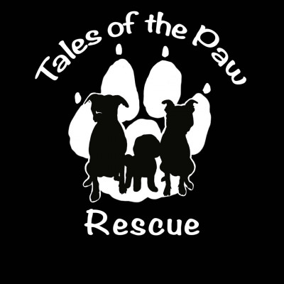 Tales Of The Paw Rescue - Animal Shelter and Rescue in Los Angeles, California