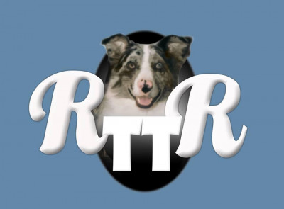 Rapscallion To The Rescue Inc. - Pet Shelter and Rescue in Morriston, Florida